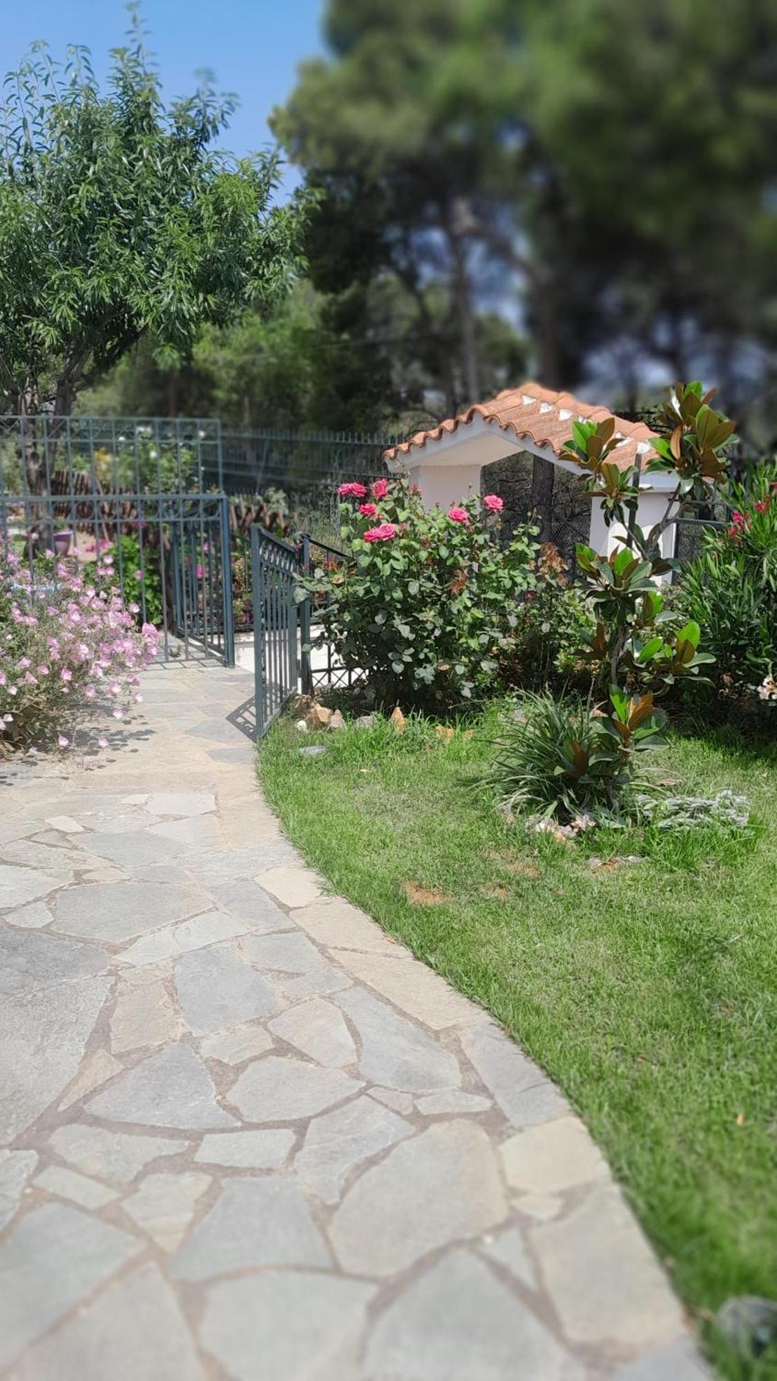 Paradise Dhaskalion Esterno foto